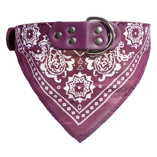 Leather Collar with Scarf Bandana