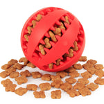 Doxie Size Rubber Ball Treat Toy