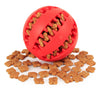 Doxie Size Rubber Ball Treat Toy