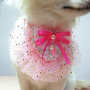 Little Paw Princess Costume