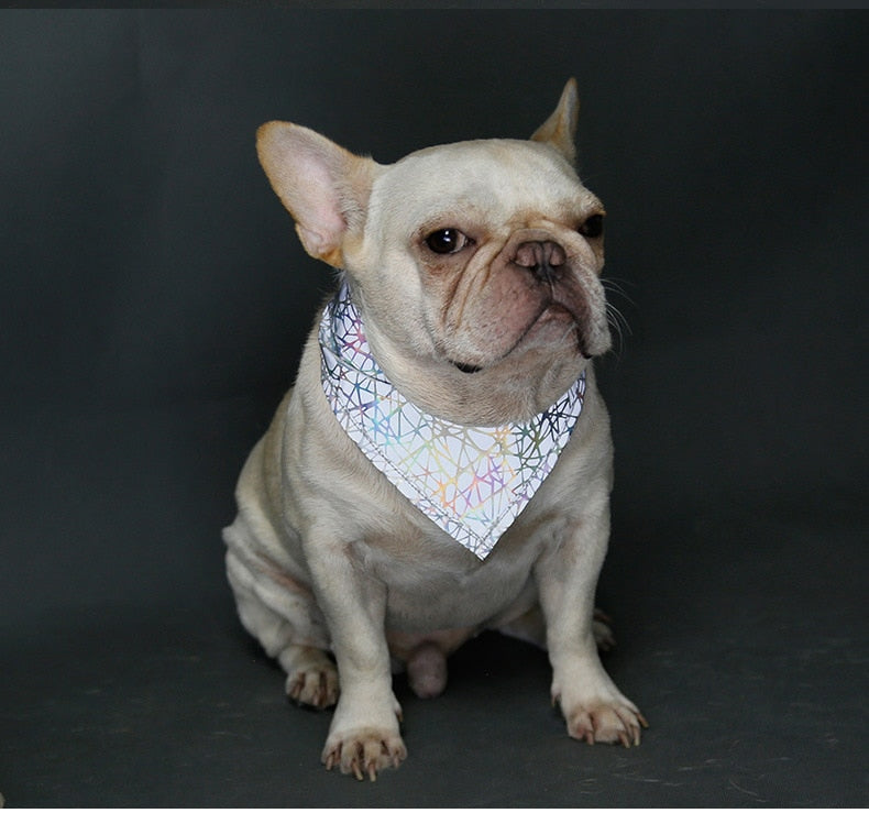 Reflective Bandanna