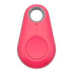 Pet Smart GPS Tracker