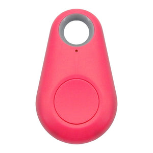 Pet Smart GPS Tracker