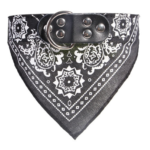 Leather Collar with Scarf Bandana