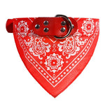 Leather Collar with Scarf Bandana