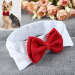 Little Gentleman Bow Tie