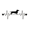 A Dachshund Makes My Heartbeat Decal