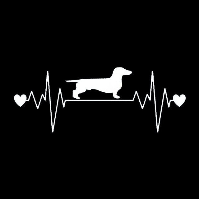 A Dachshund Makes My Heartbeat Decal